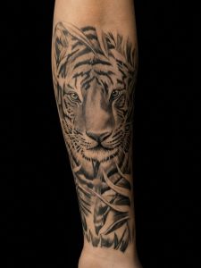 Black and grey realistična tetovaža tigra na podlaktici
